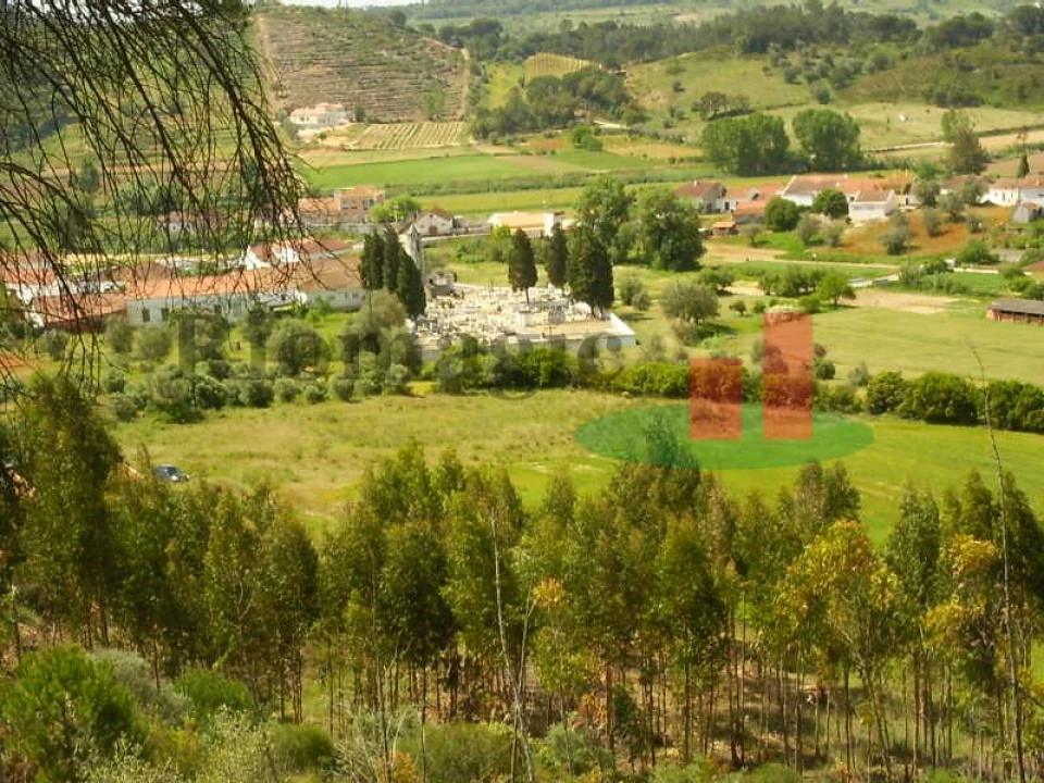 Terreno para Venda em São João da Ribeira e Ribeira de São João Foto 10