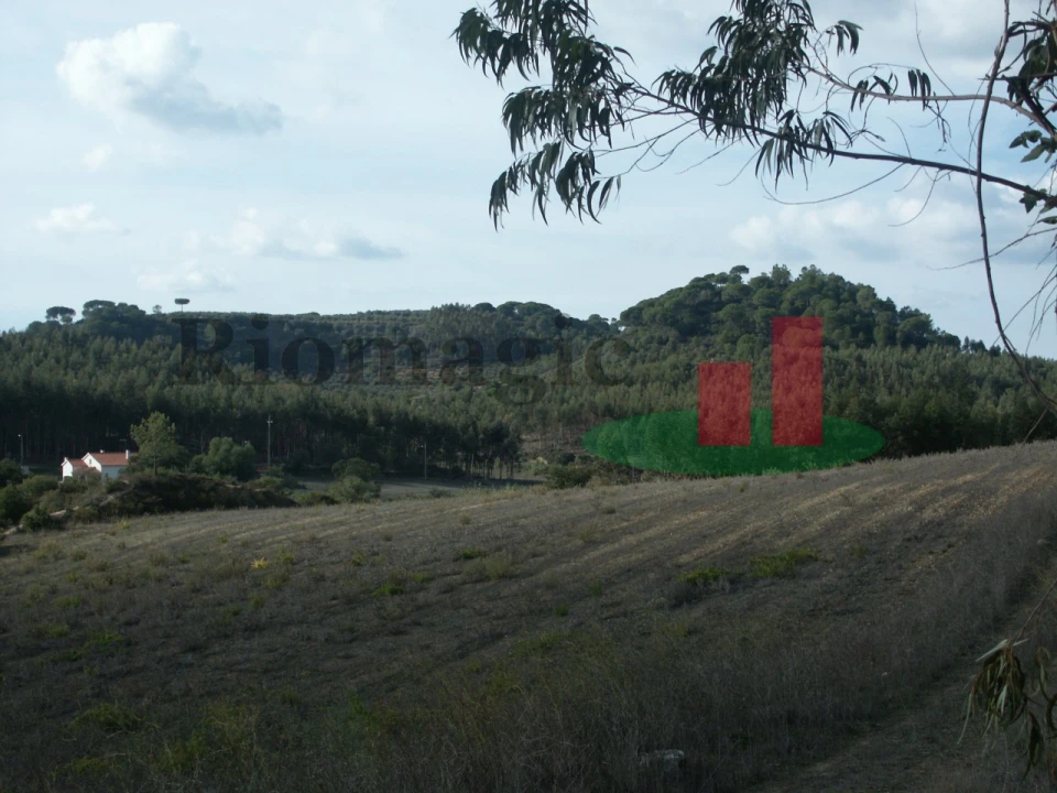Terreno para Venda em São João da Ribeira e Ribeira de São João Foto 15