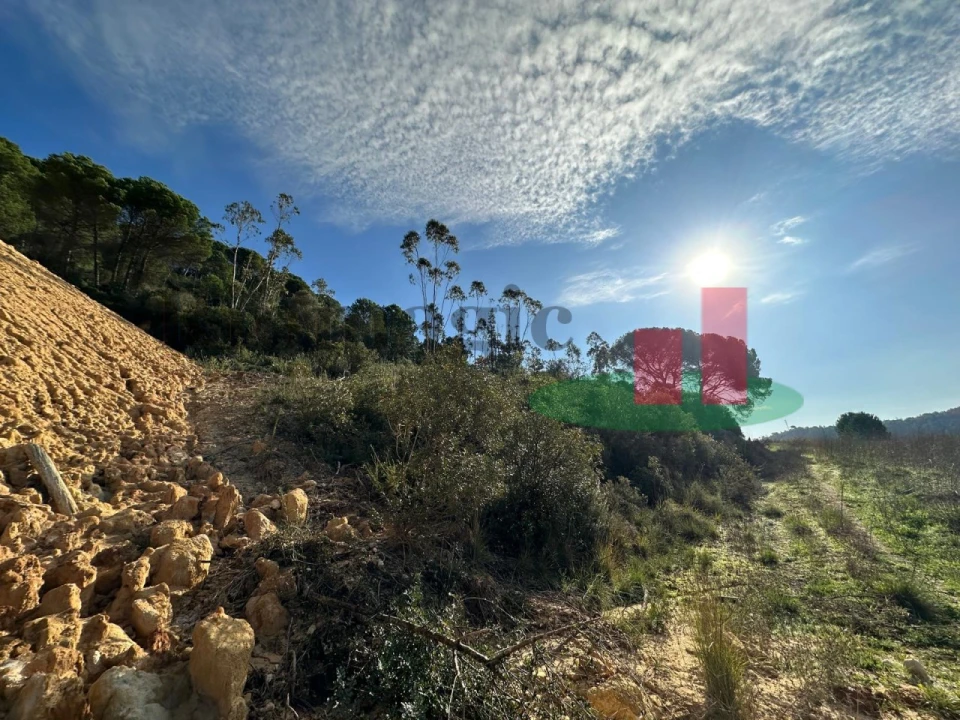 Terreno para Venda em São João da Ribeira e Ribeira de São João Foto 26