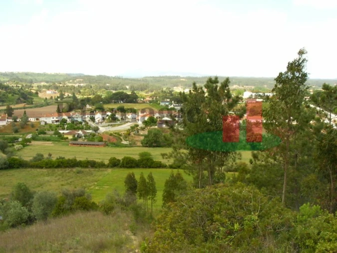 Terreno para Venda em São João da Ribeira e Ribeira de São João Foto 2