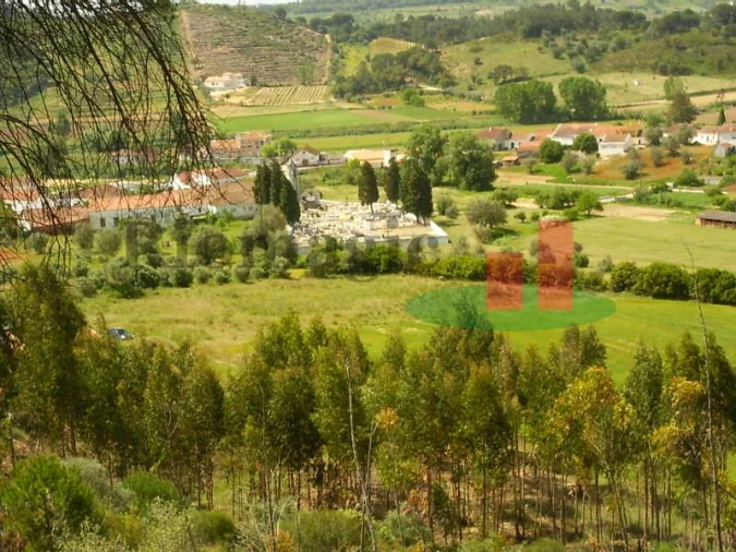 Terreno para Venda em São João da Ribeira e Ribeira de São João Foto 10