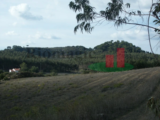 Terreno para Venda em São João da Ribeira e Ribeira de São João Foto 15