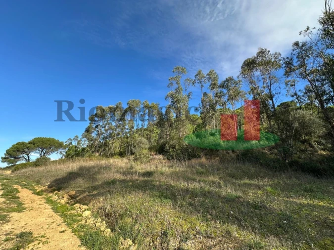 Terreno para Venda em São João da Ribeira e Ribeira de São João Foto 16