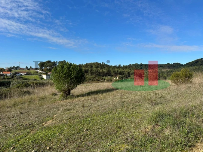 Terreno para Venda em São João da Ribeira e Ribeira de São João Foto 20