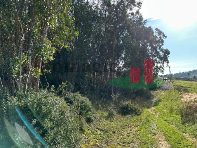 Terreno para Venda em São João da Ribeira e Ribeira de São João Foto 21