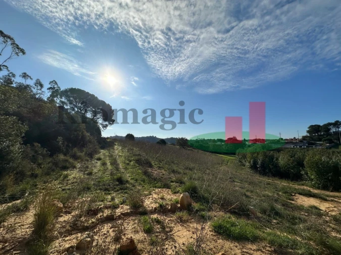 Terreno para Venda em São João da Ribeira e Ribeira de São João Foto 22
