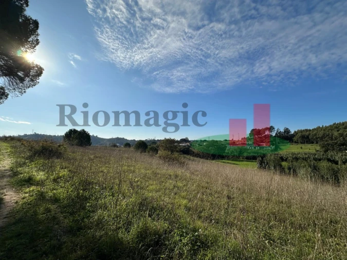 Terreno para Venda em São João da Ribeira e Ribeira de São João Foto 25