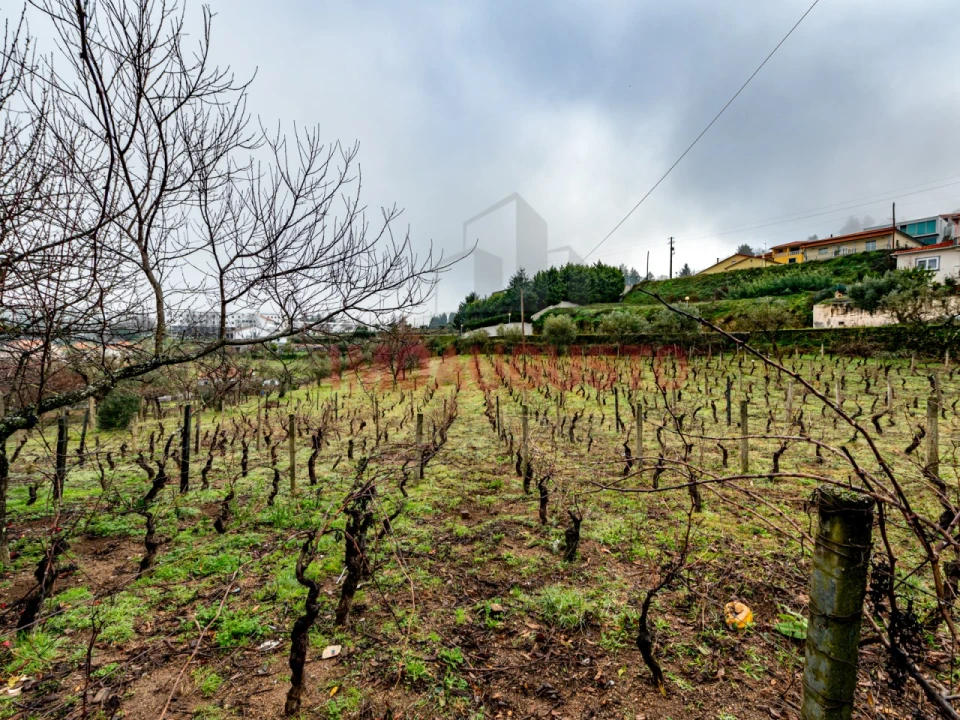 Moradia T4 para Venda em Gouveia (São Pedro e São Julião) Foto 41