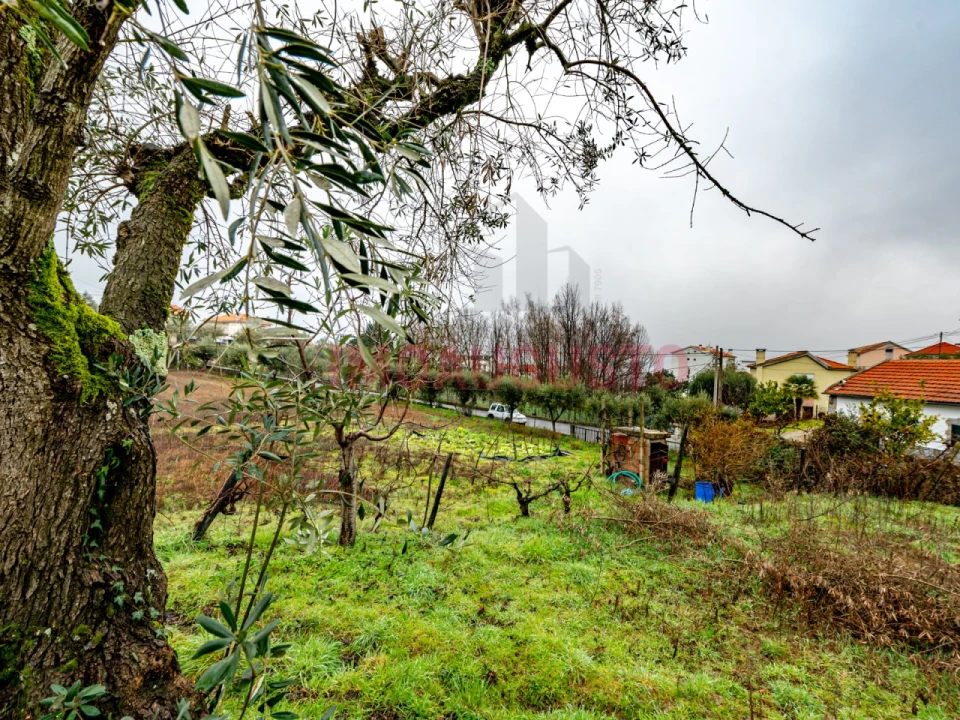 Moradia T4 para Venda em Gouveia (São Pedro e São Julião) Foto 47