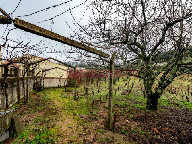 Moradia T4 para Venda em Gouveia (São Pedro e São Julião) Foto 42
