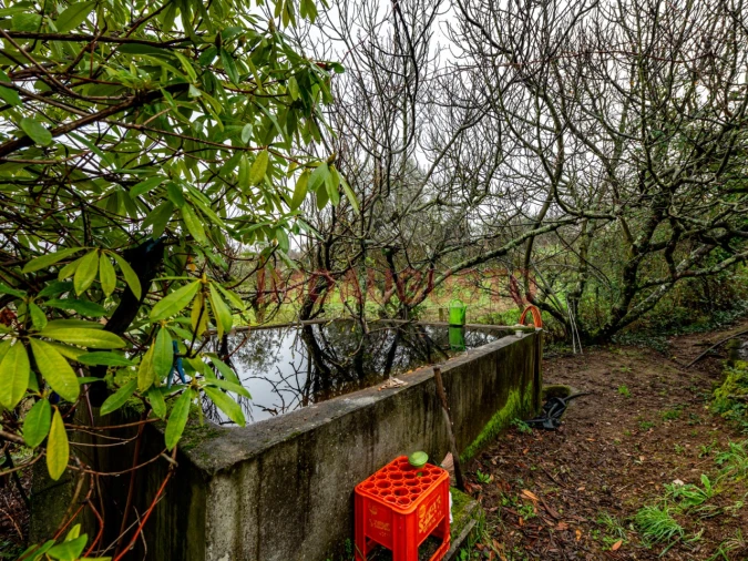 Moradia T4 para Venda em Gouveia (São Pedro e São Julião) Foto 43