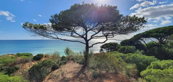 Moradia T6 para Venda em Albufeira e Olhos de Água