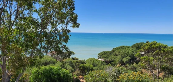 Moradia T6 para Venda em Albufeira e Olhos de Água