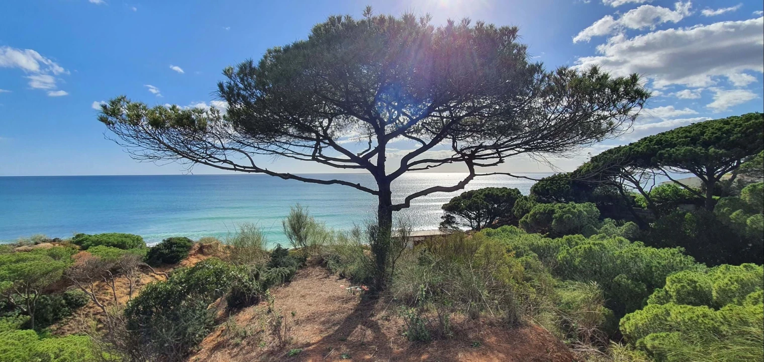 Moradia T6 para Venda em Albufeira e Olhos de Água Foto 2