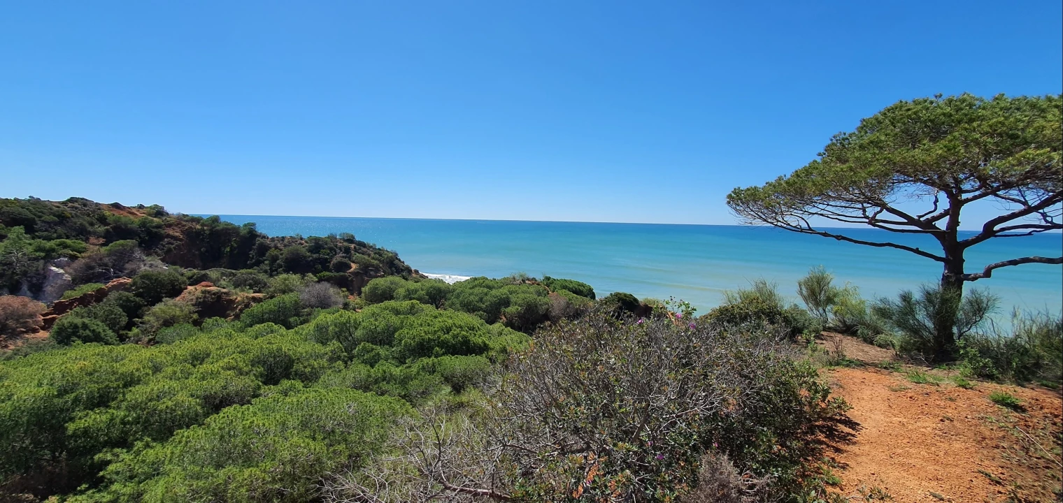 Moradia T6 para Venda em Albufeira e Olhos de Água Foto 16