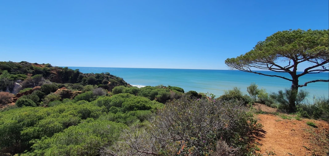 Moradia T6 para Venda em Albufeira e Olhos de Água Foto 16