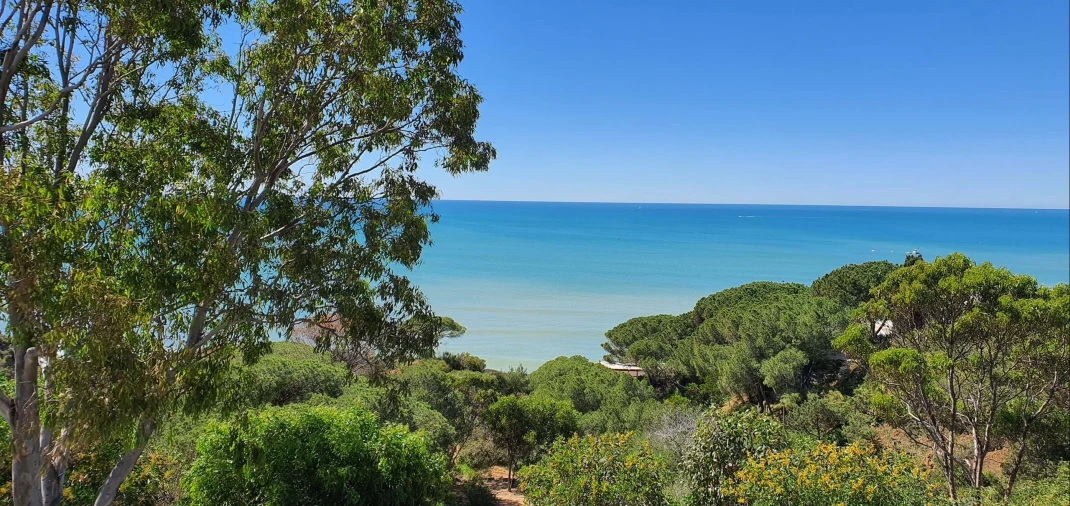 Moradia T6 para Venda em Albufeira e Olhos de Água Foto 10