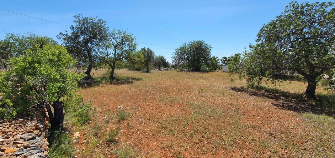 Terreno para Venda em Albufeira e Olhos de Água Foto 29