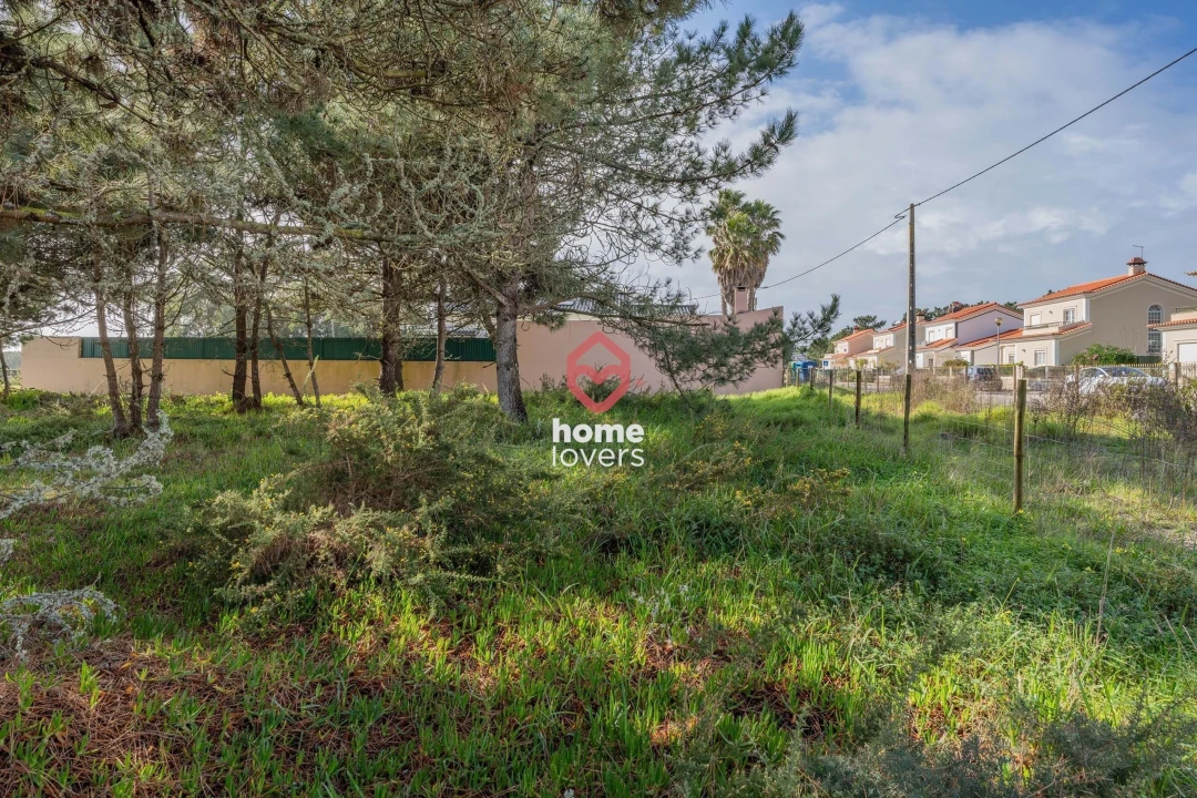 Terreno para Venda em Silveira Foto 11