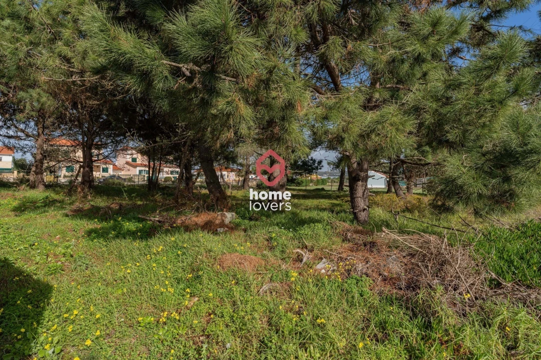 Terreno para Venda em Silveira Foto 16