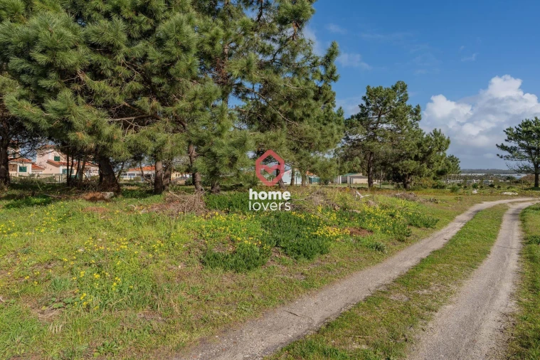 Terreno para Venda em Silveira Foto 15