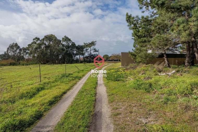 Terreno para Venda em Silveira Foto 14