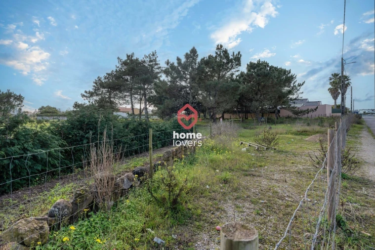 Terreno para Venda em Silveira Foto 25