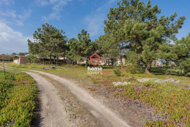 Terreno para Venda em Silveira Foto 4