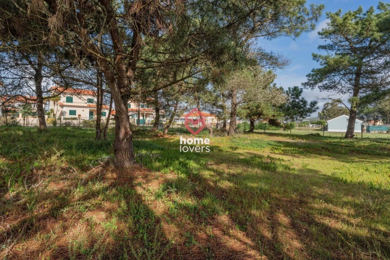 Terreno para Venda em Silveira Foto 13