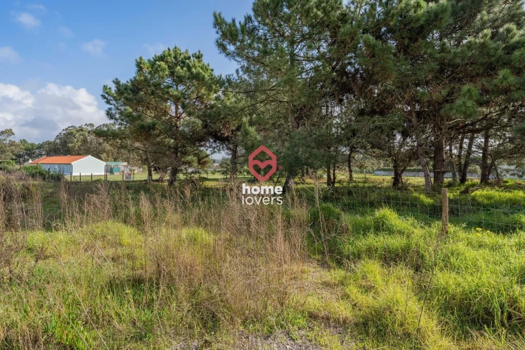 Terreno para Venda em Silveira Foto 22