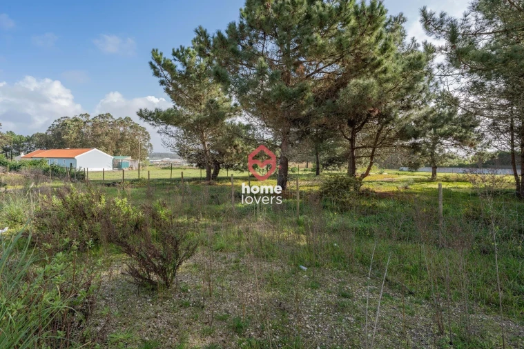 Terreno para Venda em Silveira Foto 23