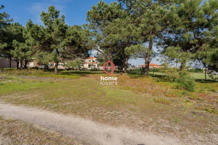 Terreno para Venda em Silveira Foto 5