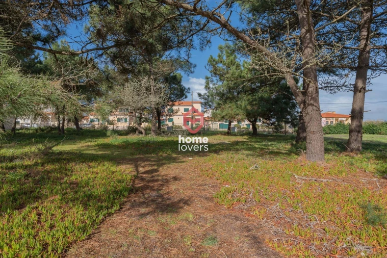 Terreno para Venda em Silveira Foto 7