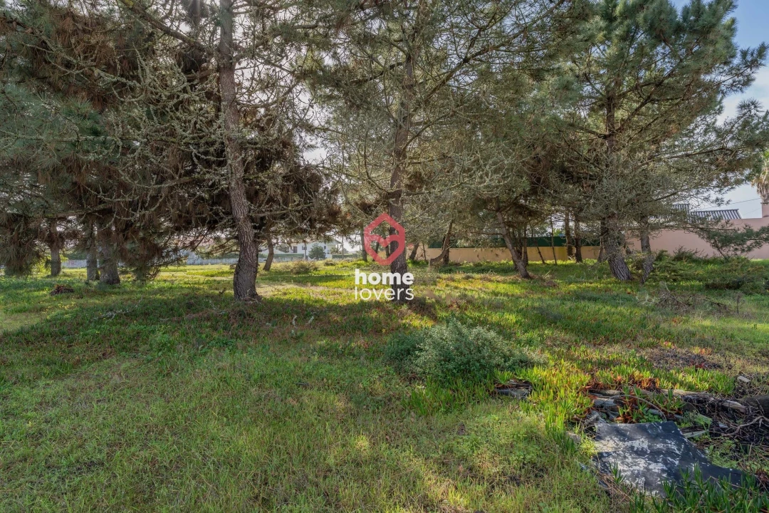 Terreno para Venda em Silveira Foto 9