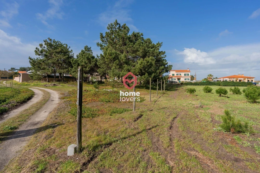 Terreno para Venda em Silveira Foto 3