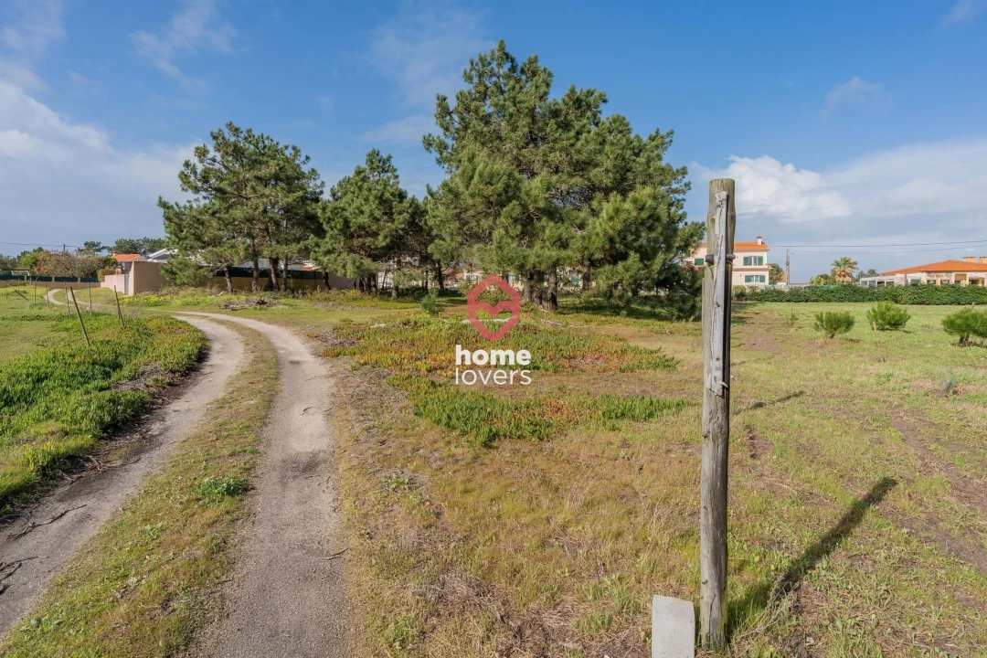 Terreno para Venda em Silveira Foto 2