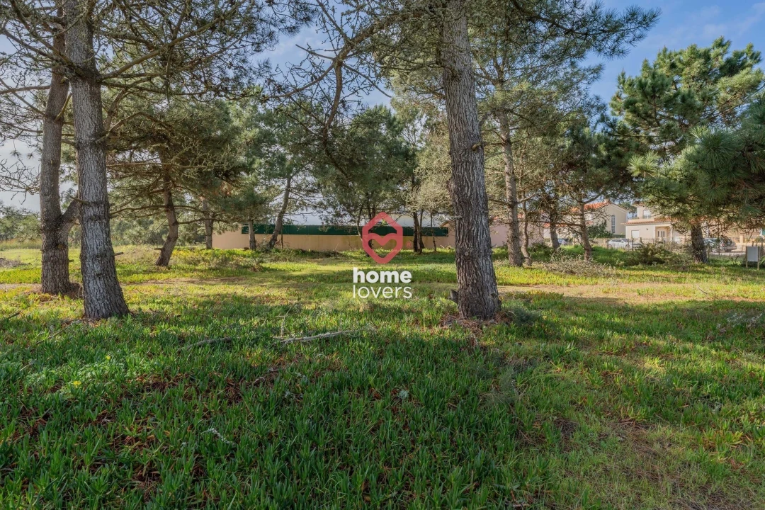 Terreno para Venda em Silveira Foto 8