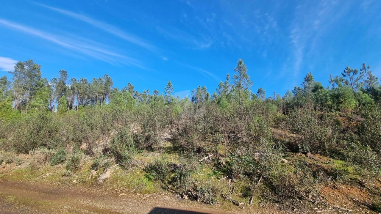 Terreno Agricola ou Rústico para Venda em São Vicente da Beira Foto 15