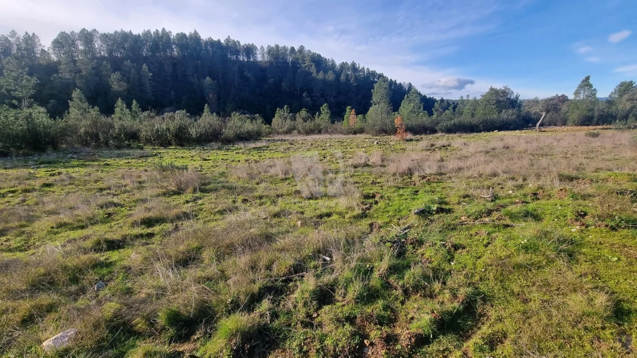 Terreno Agricola ou Rústico para Venda em São Vicente da Beira Foto 28