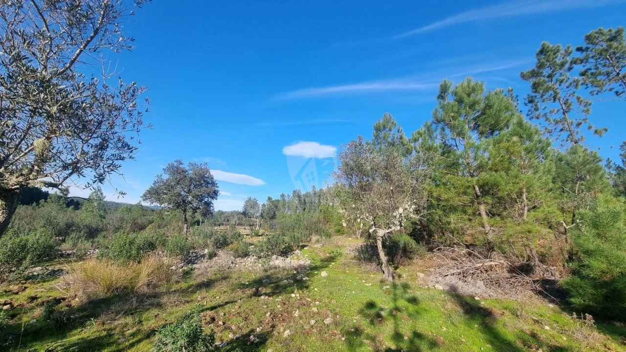 Terreno Agricola ou Rústico para Venda em São Vicente da Beira Foto 7