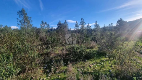 Terreno Agricola ou Rústico para Venda em São Vicente da Beira