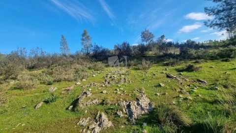 Terreno Agricola ou Rústico para Venda em São Vicente da Beira