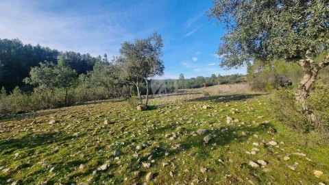 Terreno Agricola ou Rústico para Venda em São Vicente da Beira