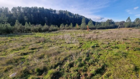 Terreno Agricola ou Rústico para Venda em São Vicente da Beira