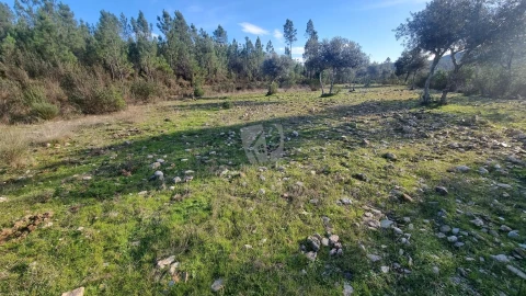 Terreno Agricola ou Rústico para Venda em São Vicente da Beira