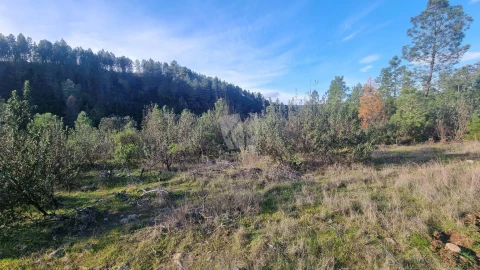 Terreno Agricola ou Rústico para Venda em São Vicente da Beira