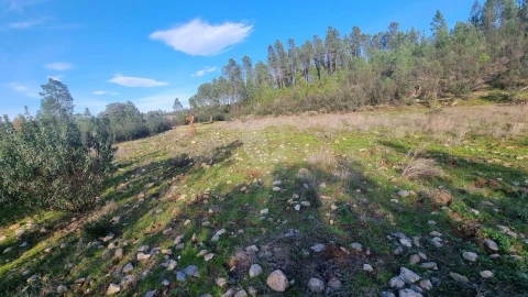 Terreno Agricola ou Rústico para Venda em São Vicente da Beira
