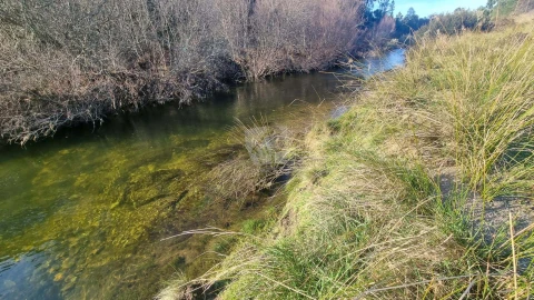 Terreno Agricola ou Rústico para Venda em São Vicente da Beira