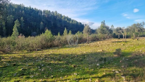 Terreno Agricola ou Rústico para Venda em São Vicente da Beira