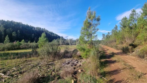 Terreno Agricola ou Rústico para Venda em São Vicente da Beira